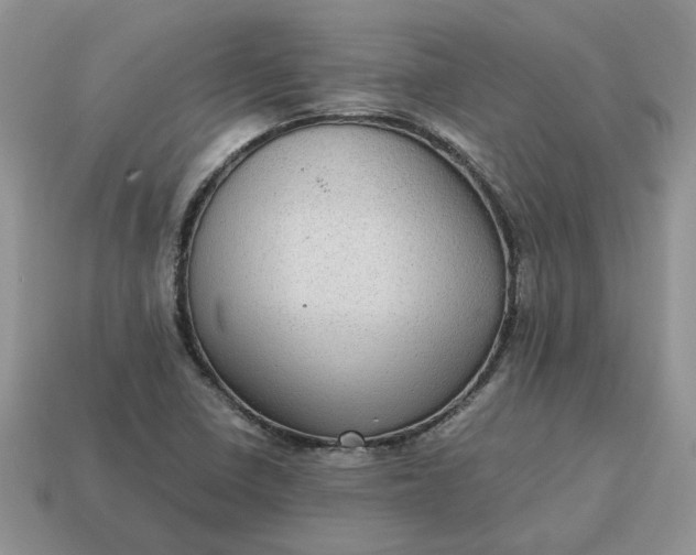 X0000114601410200911091308