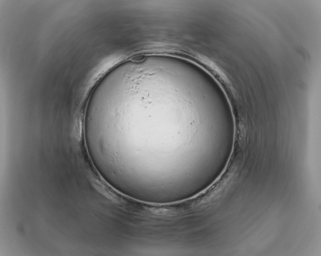 X0000114601413200911091308