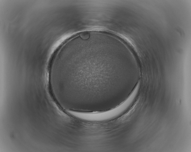 X0000114601414200911091308