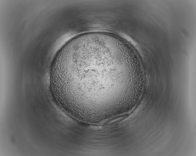 X0000114601415200911091308