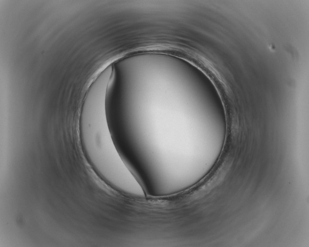 X0000114601417200911091308