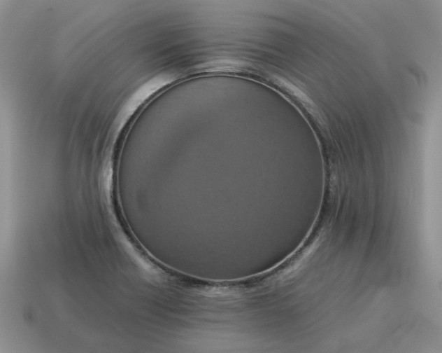 X0000114601418200911091308