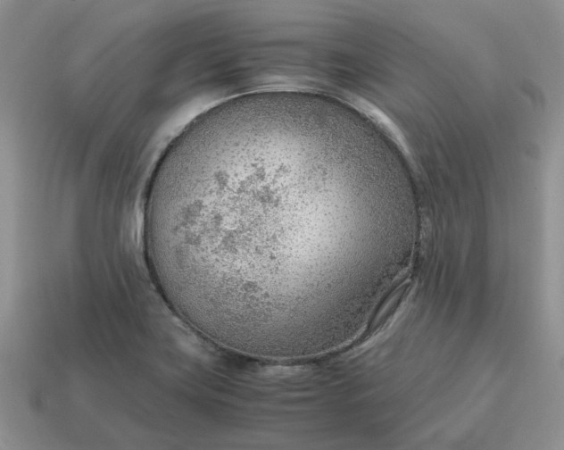 X0000114601419200911091308