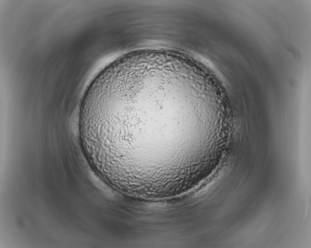 X0000114601421200911091308