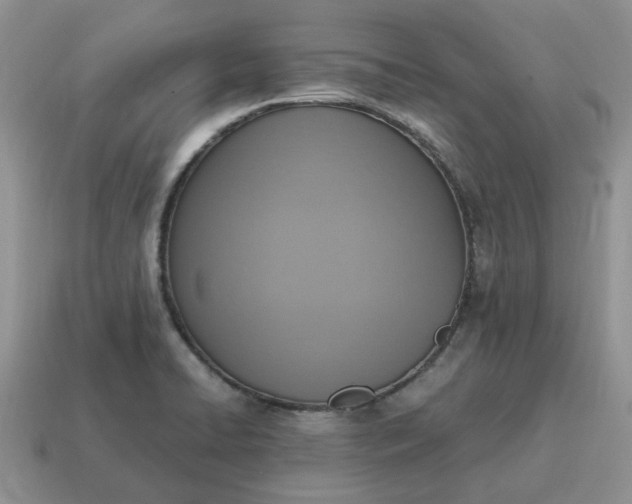 X0000114601422200911091308