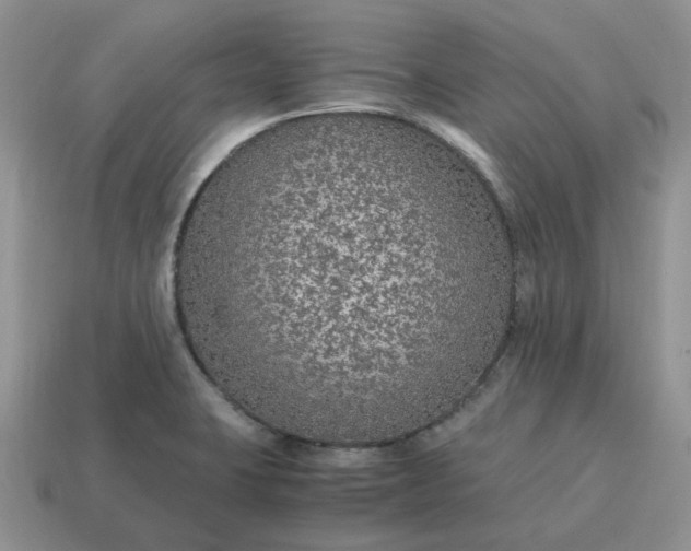 X0000114601423200911091308