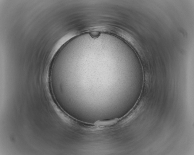 X0000114601426200911091308