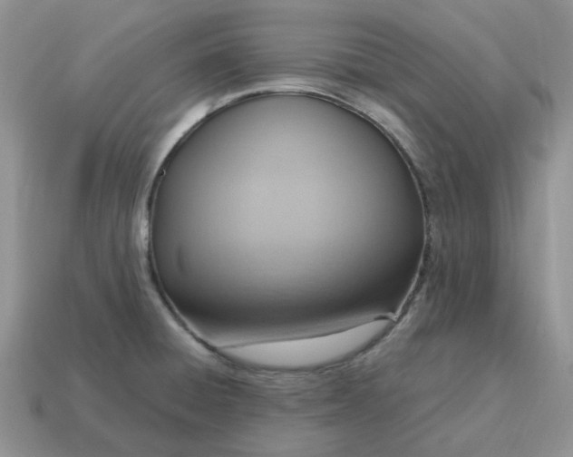 X0000114601428200911091308