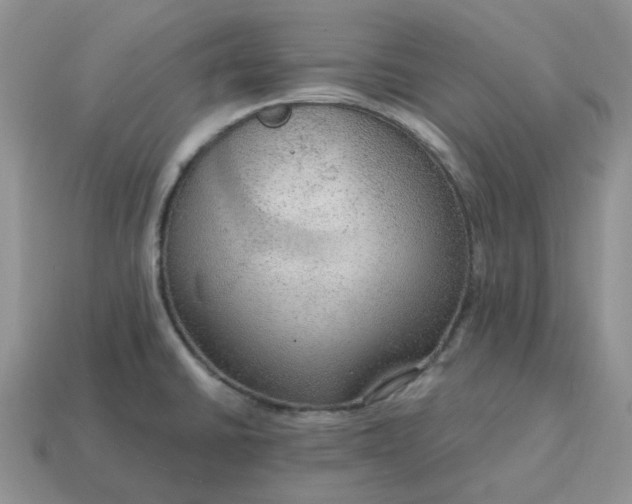 X0000114601430200911091308