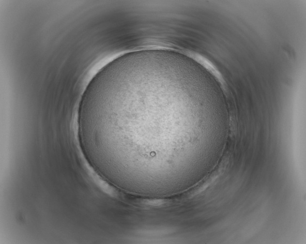 X0000114601431200911091308