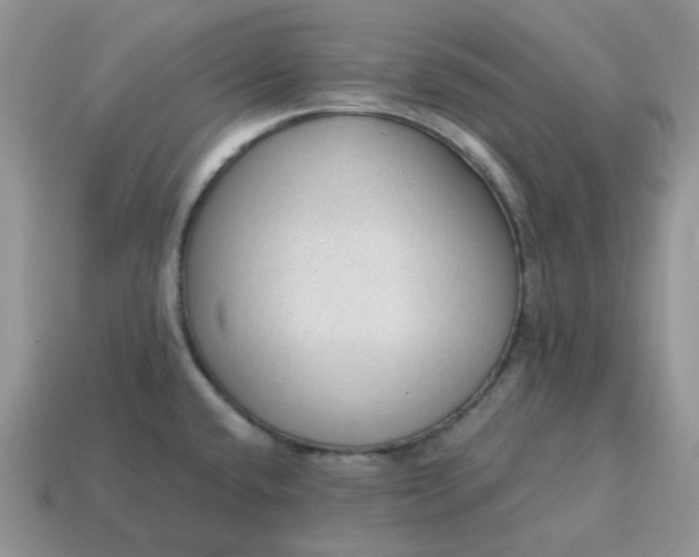 X0000114601432200911091308