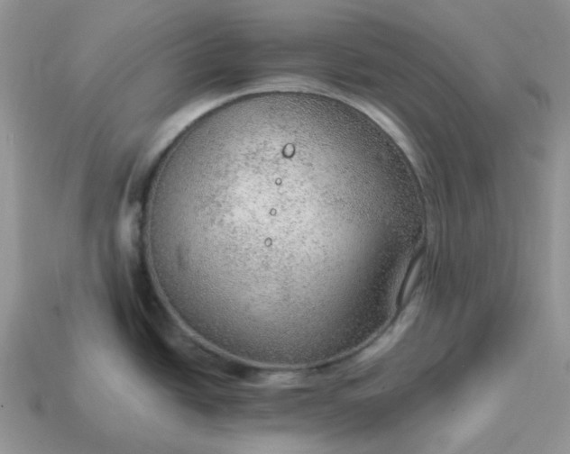 X0000114601438200911091308