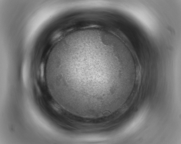 X0000114601439200911091308