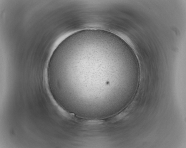 X0000114601440200911091308