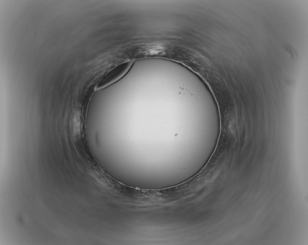 X0000114601442200911091307