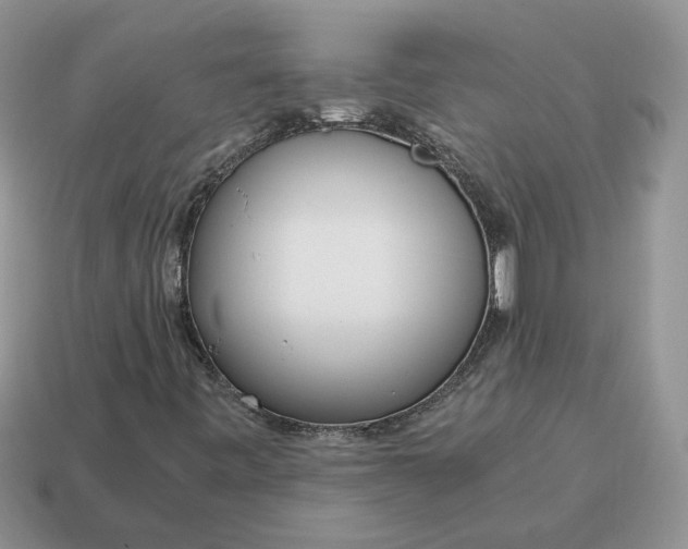 X0000114601443200911091307