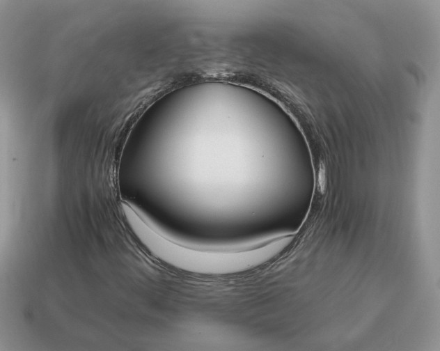 X0000114601444200911091307