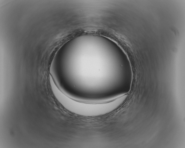 X0000114601445200911091307