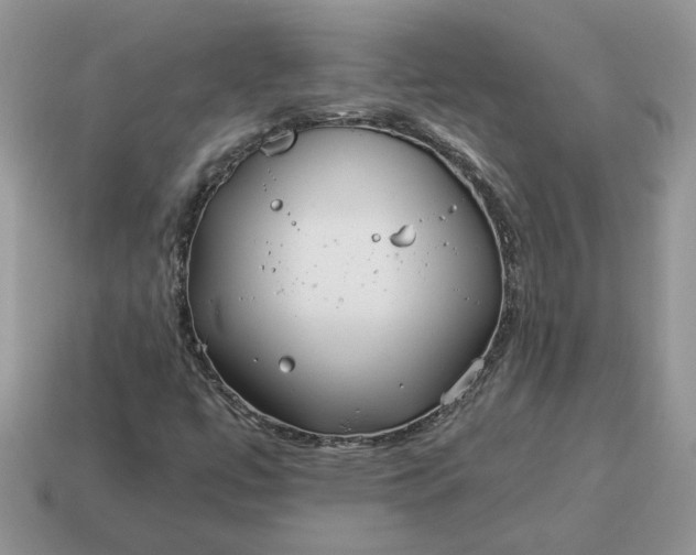 X0000114601447200911091307