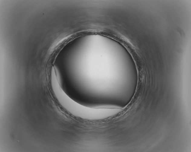 X0000114601448200911091307