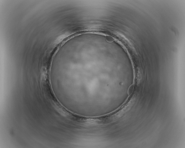 X0000114601449200911091307