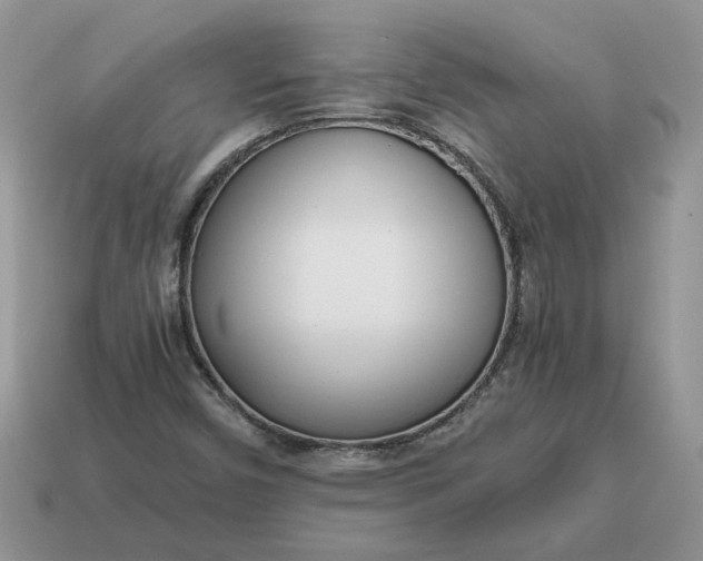 X0000114601450200911091307