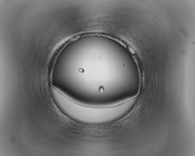 X0000114601452200911091307