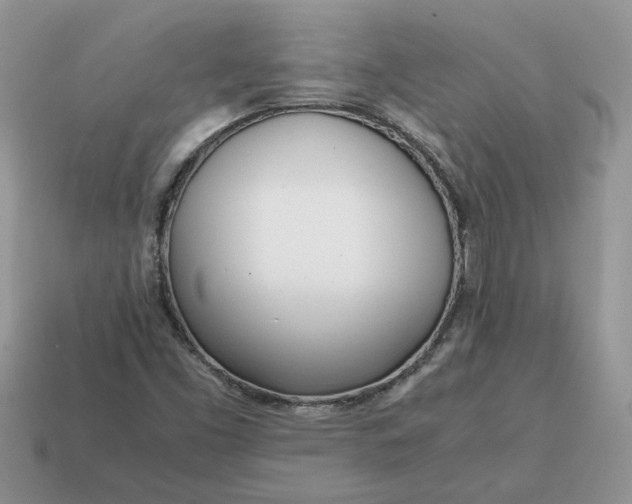 X0000114601453200911091307