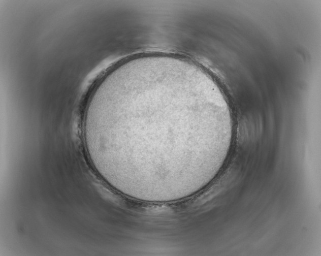 X0000114601454200911091307