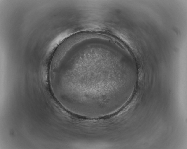 X0000114601455200911091307