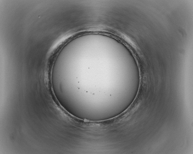 X0000114601456200911091307