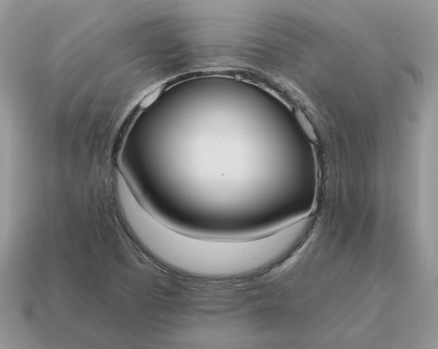 X0000114601457200911091307