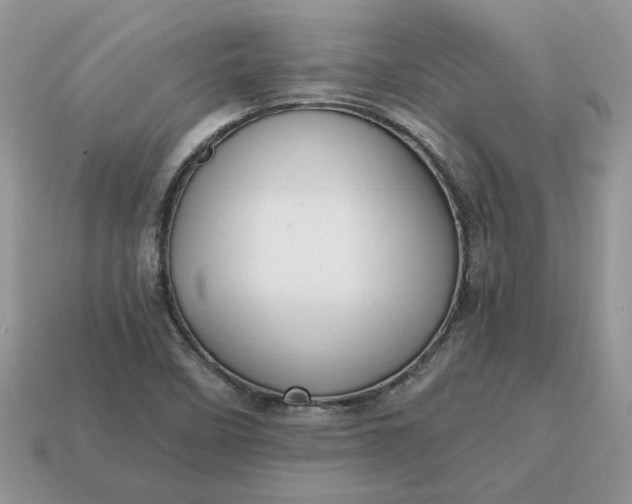 X0000114601458200911091307