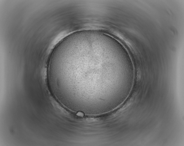 X0000114601459200911091307