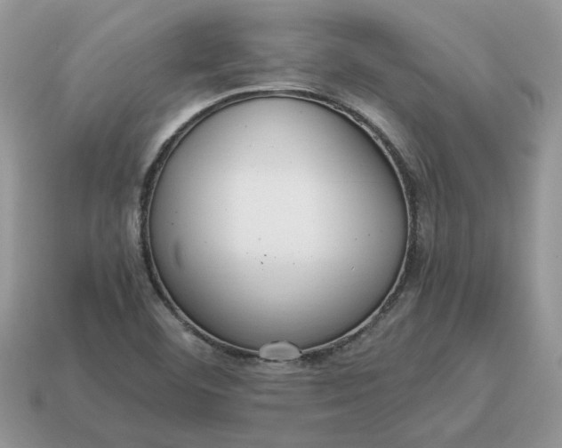 X0000114601460200911091307