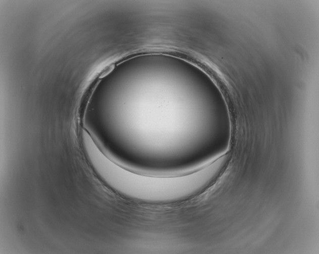 X0000114601461200911091307