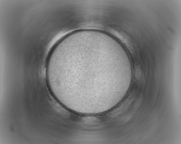 X0000114601462200911091307