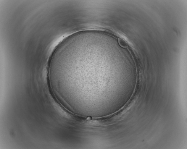 X0000114601463200911091307