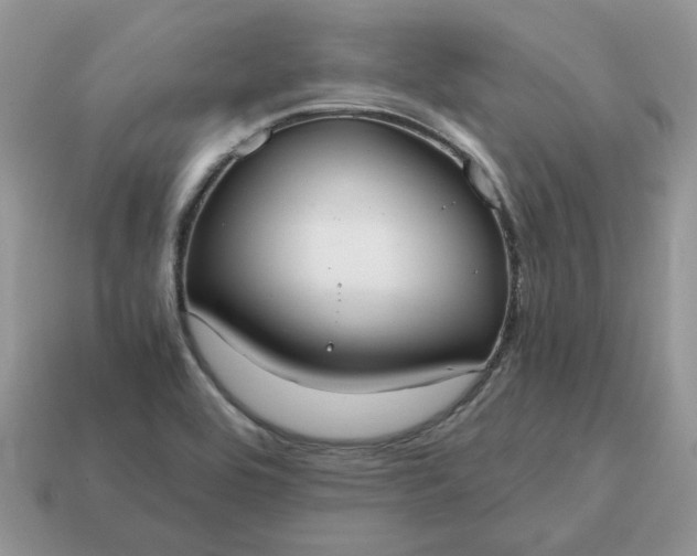 X0000114601464200911091307