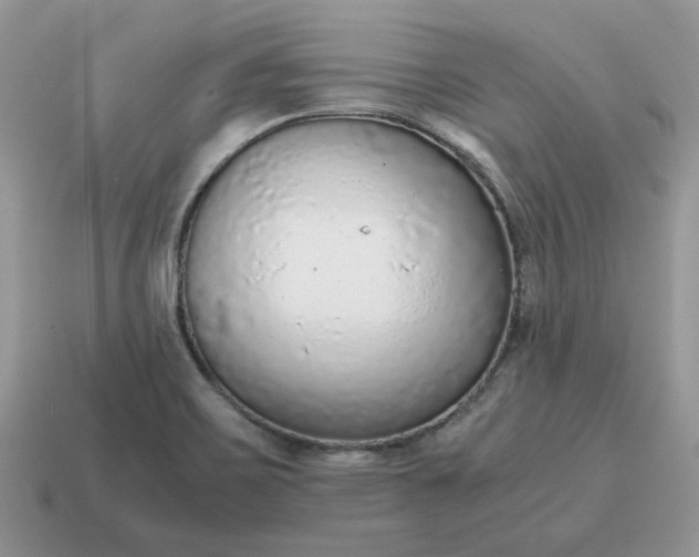 X0000114601467200911091307