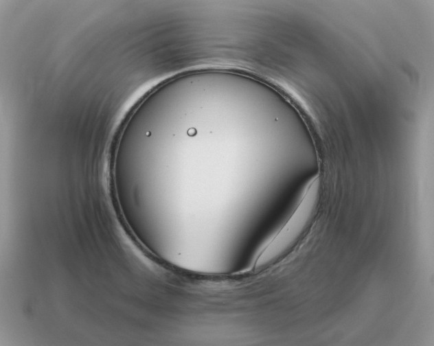 X0000114601468200911091307