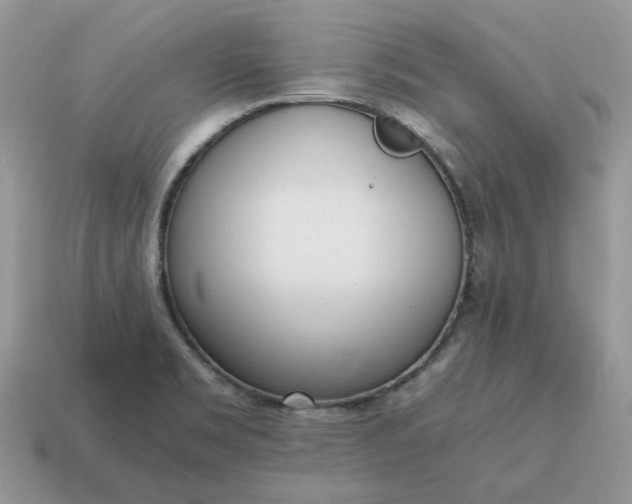 X0000114601469200911091307