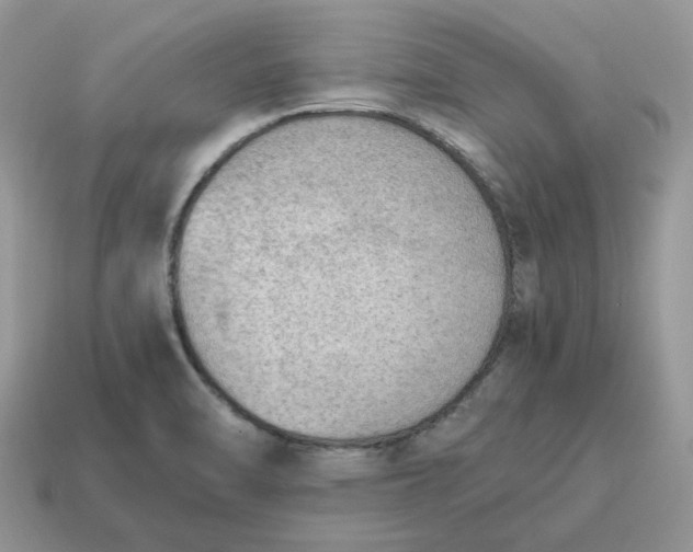 X0000114601470200911091307