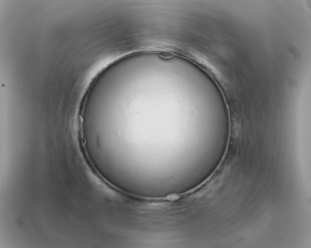 X0000114601471200911091307