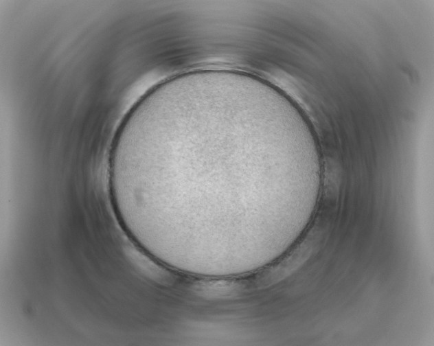 X0000114601474200911091307