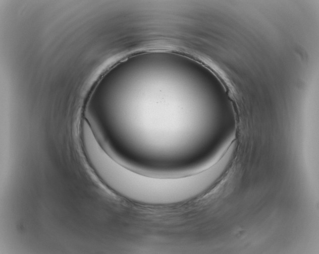 X0000114601477200911091307