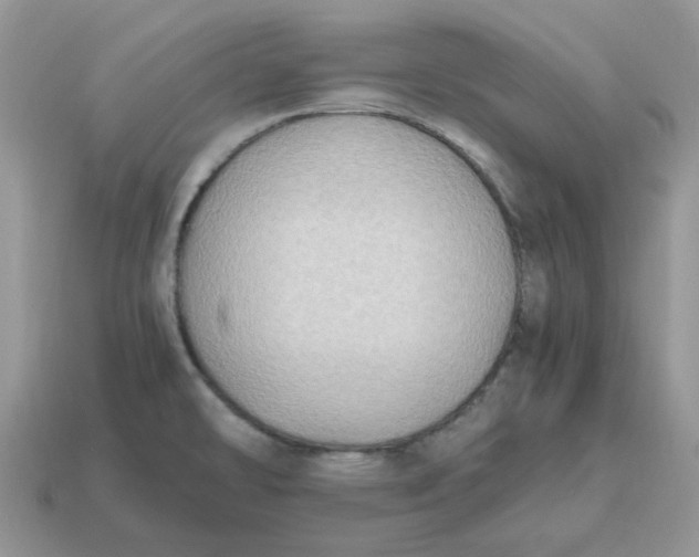 X0000114601478200911091307