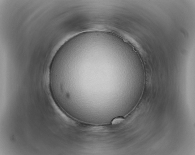 X0000114601479200911091307