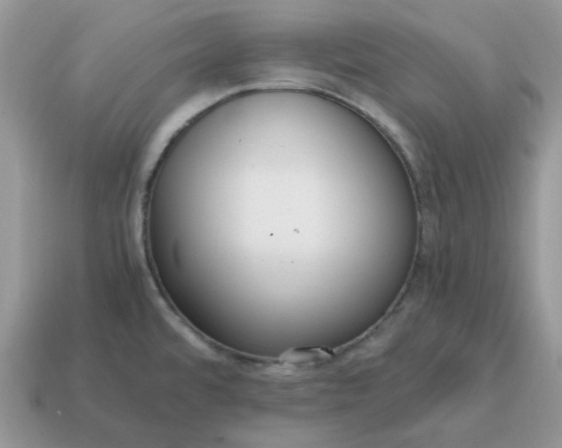 X0000114601480200911091307