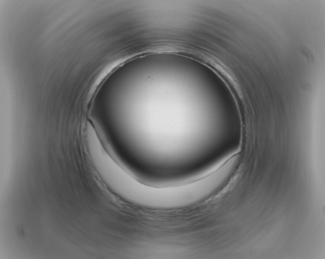 X0000114601481200911091307